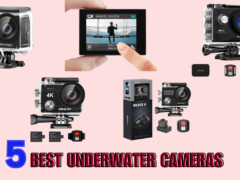 5 Best Underwater Cameras