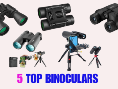 5 Top Binoculars