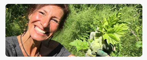  Medicinal Garden Kit